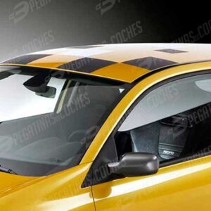 Megane Sport R26 Techo