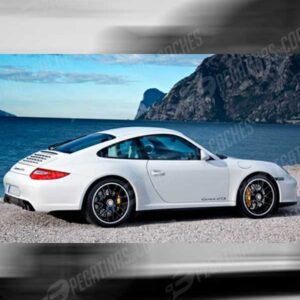 Anagrama puerta 911 Carrera