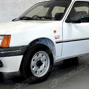 GT 205