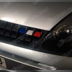Rejilla Francia Renault
